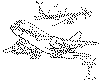 connectdots2.gif (8923 octets)