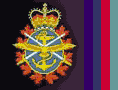 Site officiel Des Forces Arm�es Canadiennes