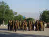 parade017.JPG (92370 octets)